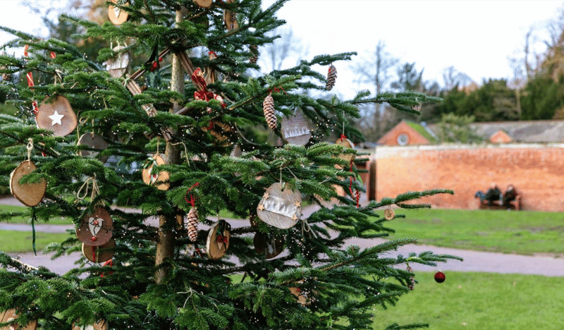 Christmas at Clumber Park 2023